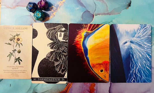 Weekly Vibe Check- 12.3-12.10 High Road